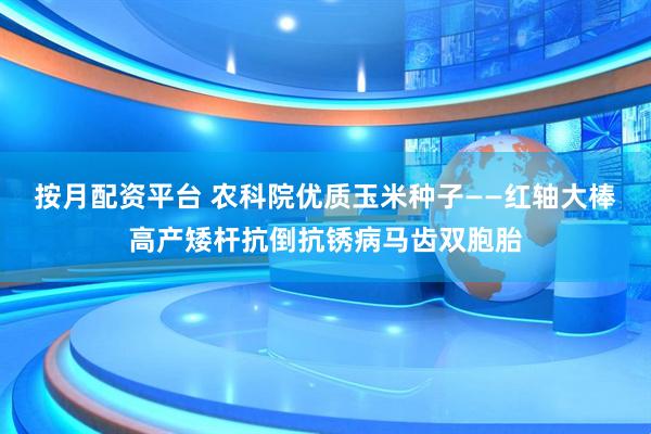 按月配资平台 农科院优质玉米种子——红轴大棒高产矮杆抗倒抗锈病马齿双胞胎